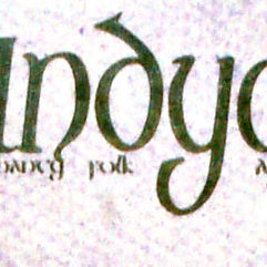 Indygo logo